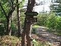 Elwell Trail NH 2010 263